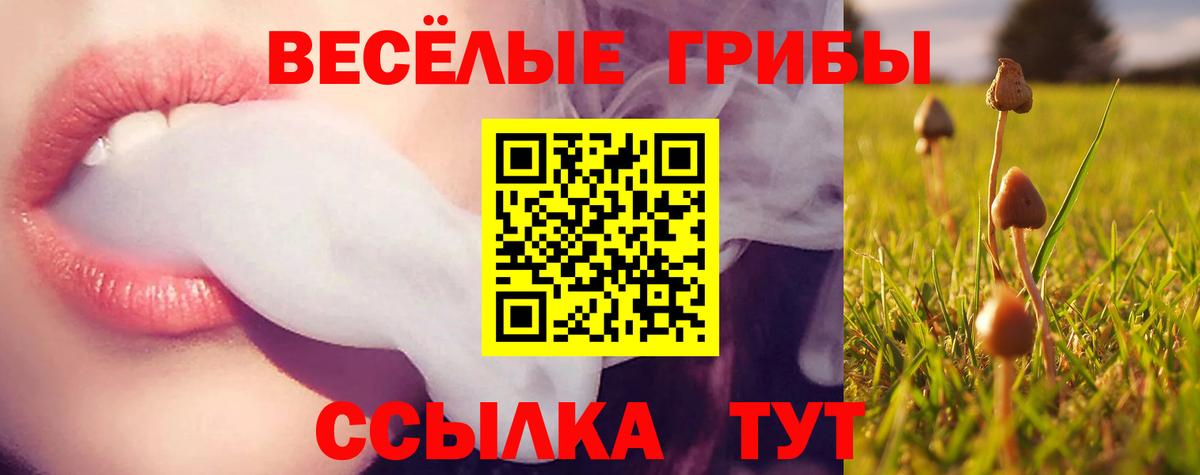 Псилоцибиновые грибы Cubensis  наркотики  Галлюциногенные грибы мухоморы  Красный Сулин  Вход с VPN 